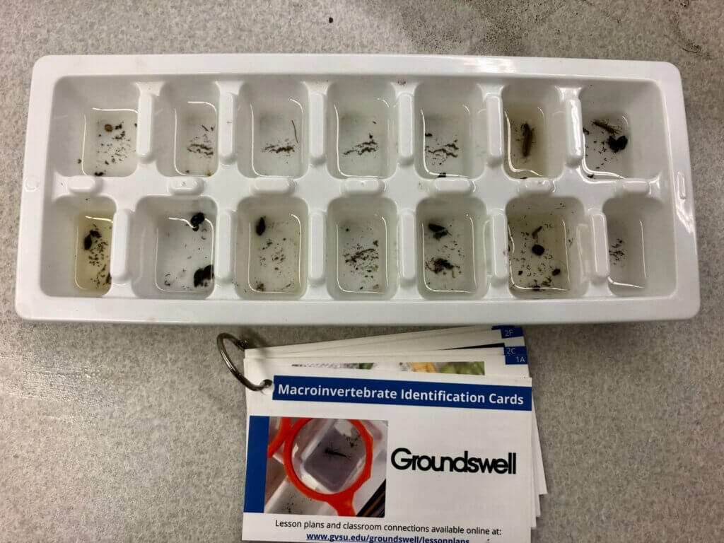 As part of Environmental Science specials class focusing on watershed stream health, 7th grade students practiced their macroinvertebrate sampling skills in the classroom in April! The presence of certain benthic macroinvertebrates (aka - bugs/critters found living at the bottom of a stream) can tell us if a stream is healthy or polluted.