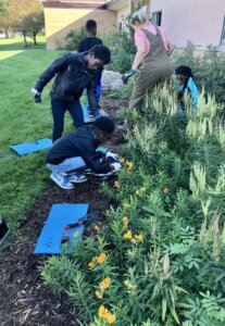 New Branches students work dilligently to expand on their pollinator garden and butterfly courtyard outside of the classroom.